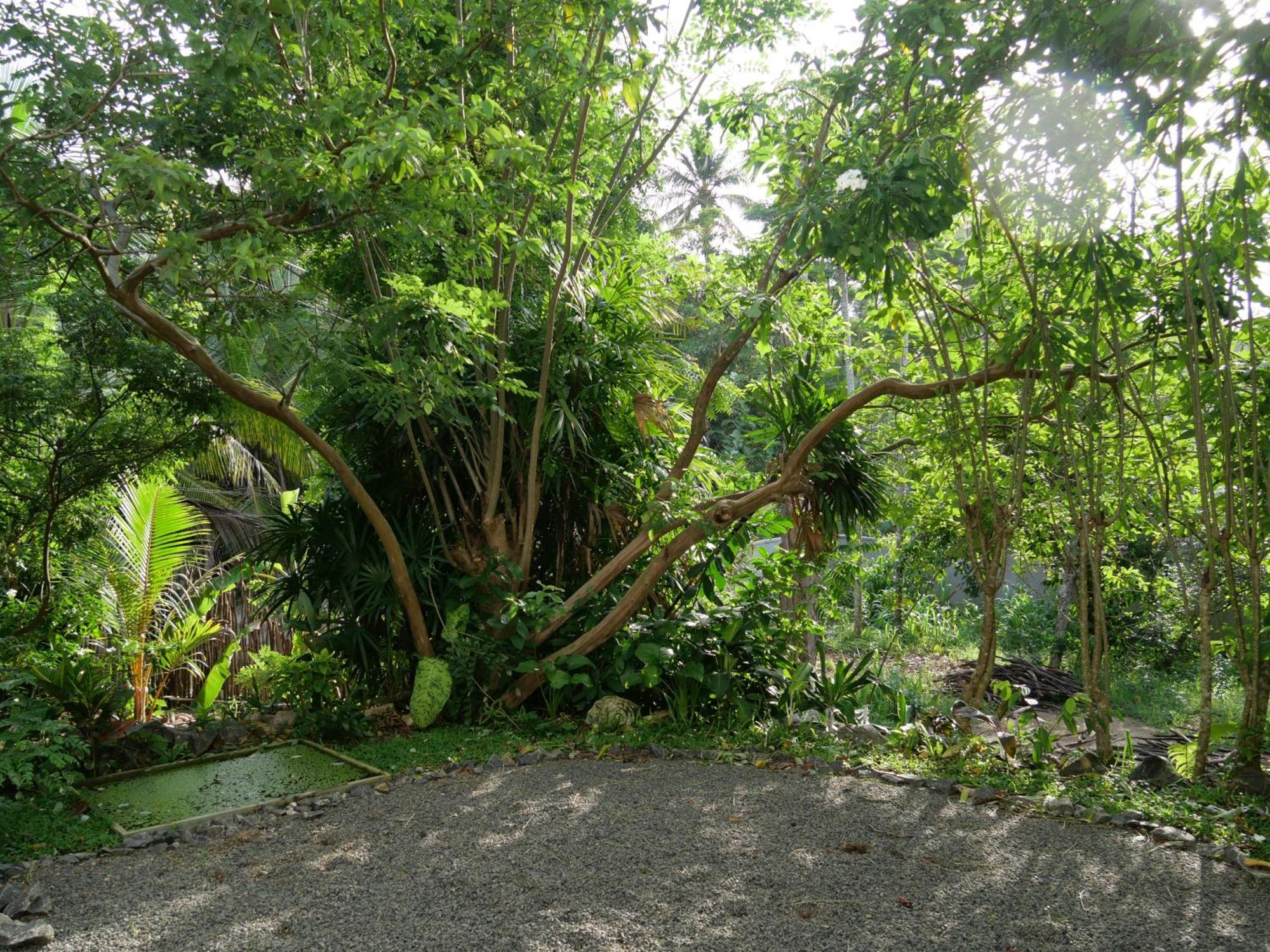 Watu House Dickwella Exterior foto